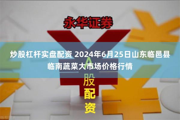 炒股杠杆实盘配资 2024年6月25日山东临邑县临南蔬菜大市场价格行情