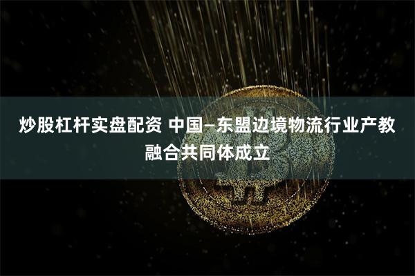 炒股杠杆实盘配资 中国—东盟边境物流行业产教融合共同体成立