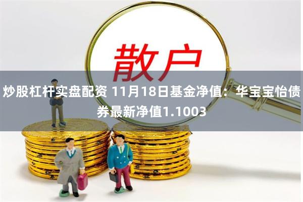 炒股杠杆实盘配资 11月18日基金净值：华宝宝怡债券最新净值1.1003