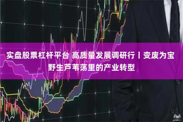 实盘股票杠杆平台 高质量发展调研行丨变废为宝 野生芦苇荡里的产业转型